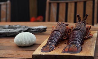 On trouve de petites baraques qui vendent des langoustes dans la péninsule. Le Kaikoura Seafood BBQ est réputé pour ses langoustes à moitié prix.