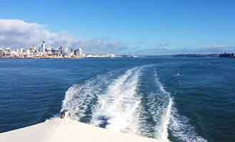 Visite de Rangitoto Island