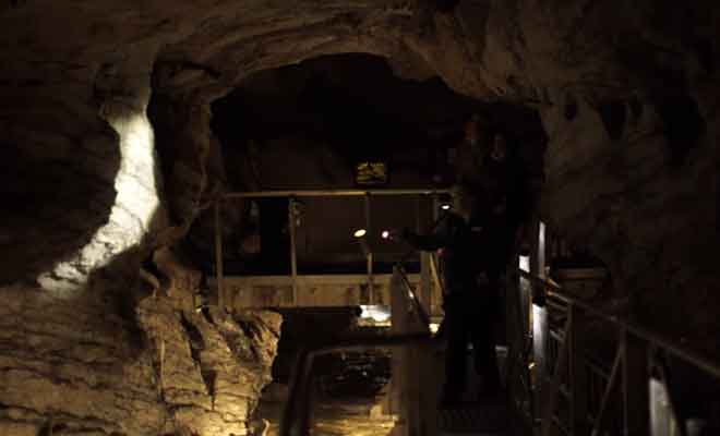Visite des grottes avec Real Journeys