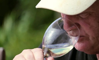 Tout ce qu'il faut savoir sur la dégustation de vins en Nouvelle-Zélande est expliqué dans ce reportage.
