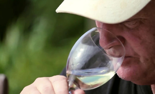 Tout ce qu'il faut savoir sur la dégustation de vins en Nouvelle-Zélande est expliqué dans ce reportage.