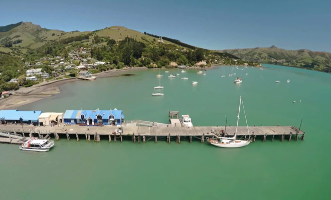 Un joli reportage qui présentent la nage avec les dauphins à Akaroa.