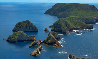 Ce reportage vous présente le plus beau site de plongée du pays aux Poor Knight Islands.