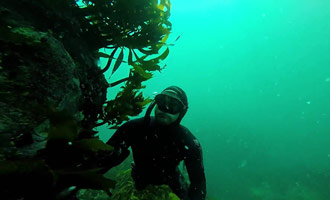 Ce beau reportage amateur vous explique pourquoi la plongée sous-marine est incontournable.