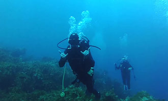 Ce reportage donnera une idée précise le déroulement d'une plongée sous-marine en Nouvelle-Zélande.