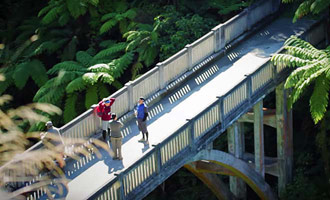 Pont perdu en forêt