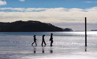 Auckland, plages Piha, Muriwai ...