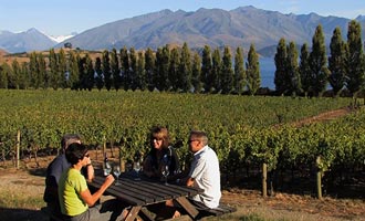 Certains vignobles disposent de tables de camping. C'est le cas de Rippon Vineyard où vous pouvez aussi commander des plateaux de charcuteries et fromages.